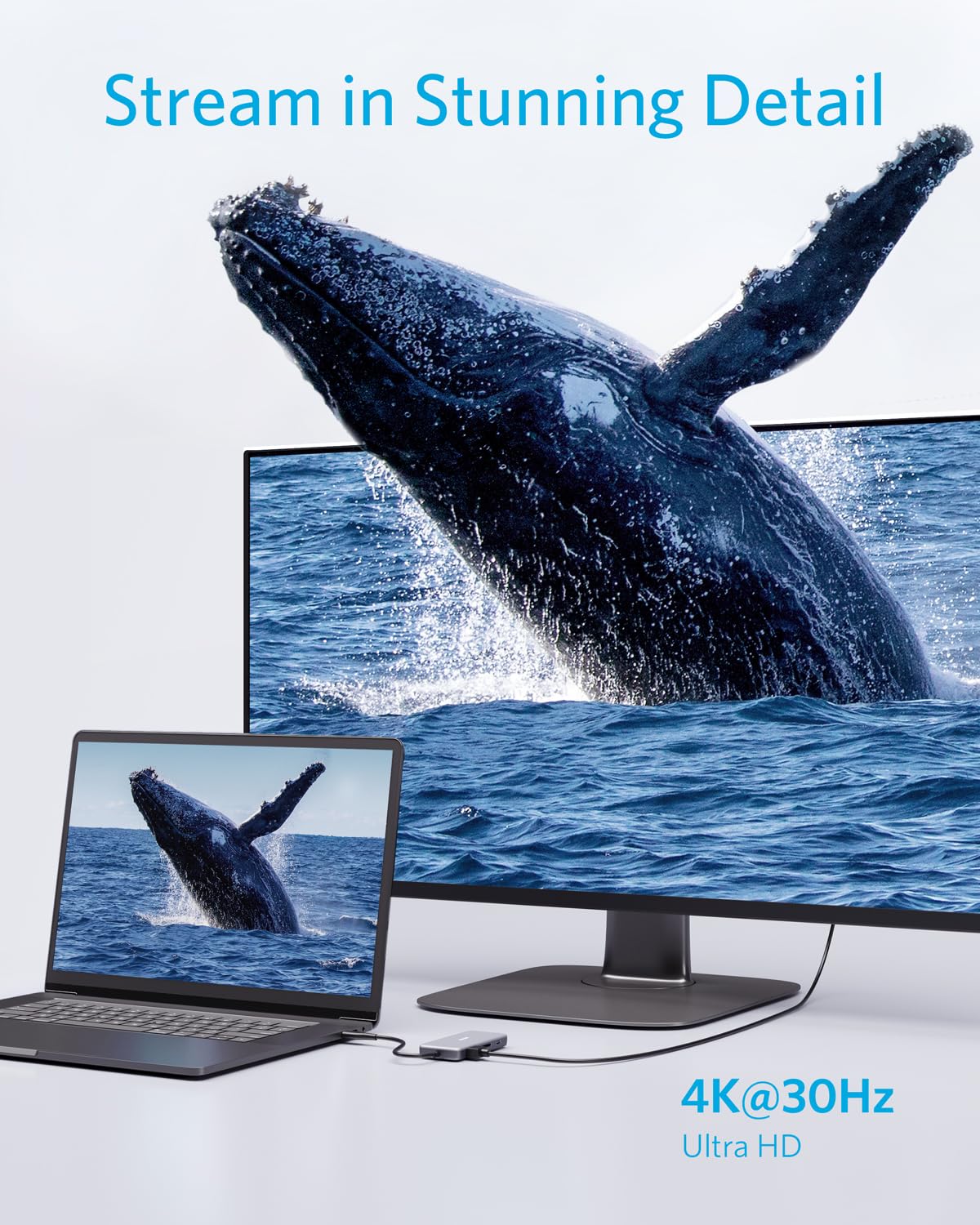 Anker with stunning 4K whale display for monitor.